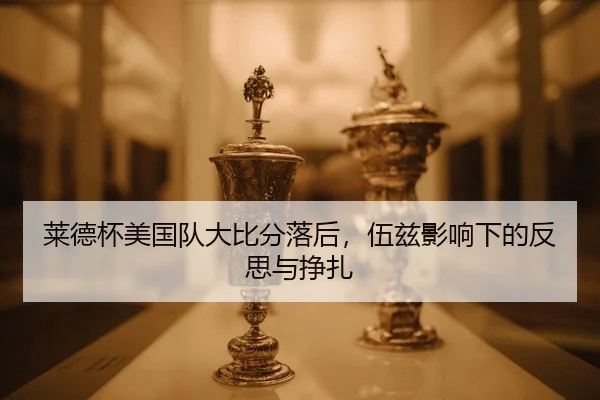 lai-de-bei-mei-guo-dui-da-bi-fen-luo-hou-wu-zi-ying-xiang-xia-de-fan-si-yu-zheng-zha-2-748.jpg