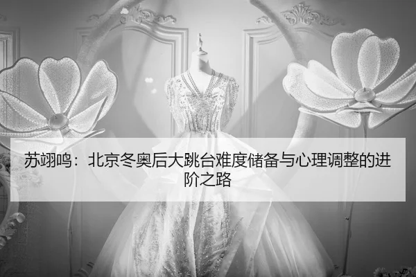 su-yi-ming-bei-jing-dong-ao-hou-da-tiao-tai-nan-du-chu-bei-yu-xin-li-tiao-zheng-de-jin-jie-zhi-lu-2-651.jpg